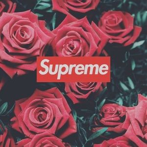 Meet your Posher, Logan